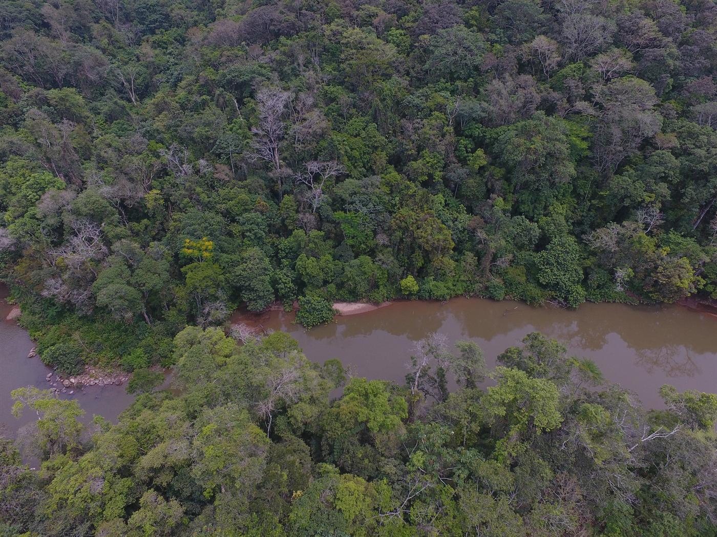 Trecho do rio atravessando a floresta, visto de cima